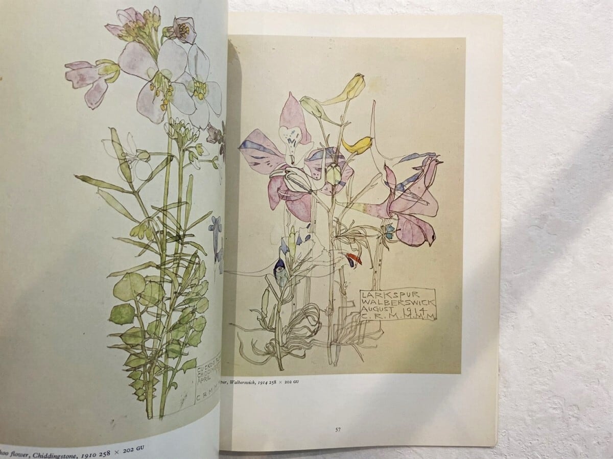 VI191】ACRCHITECTURAL SKETCHES & FLOWER DRAWINGS BY CHARLES RENNIE