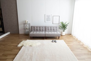 【2点セット】Lillian ベロアソファ