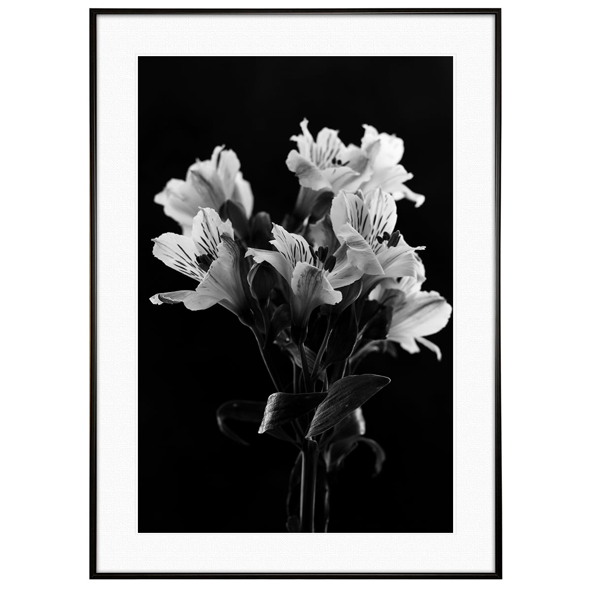 花写真 ユリの花 インテリアモノクロアートポスター額装 AS2837