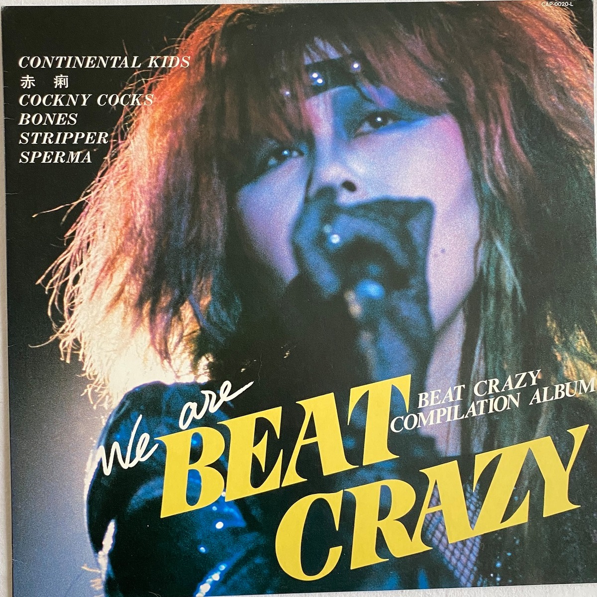 LP】Various Artists（コンチネンタル・キッズ、赤痢 etc） – We Are 