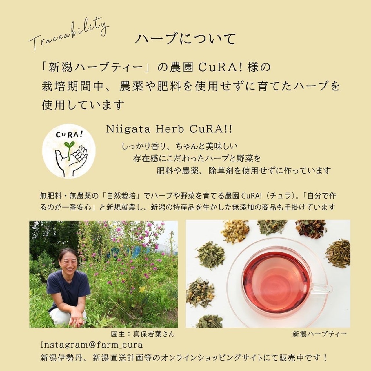 【玄米ハーブカイロ】栽培中農薬や肥料を使わず育てたハーブ使用／Winter garden柄 選べるハーブ カバー付