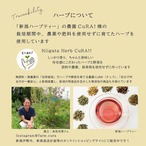 【玄米ハーブカイロ】栽培中農薬や肥料を使わず育てたハーブ使用／Winter garden柄 選べるハーブ カバー付