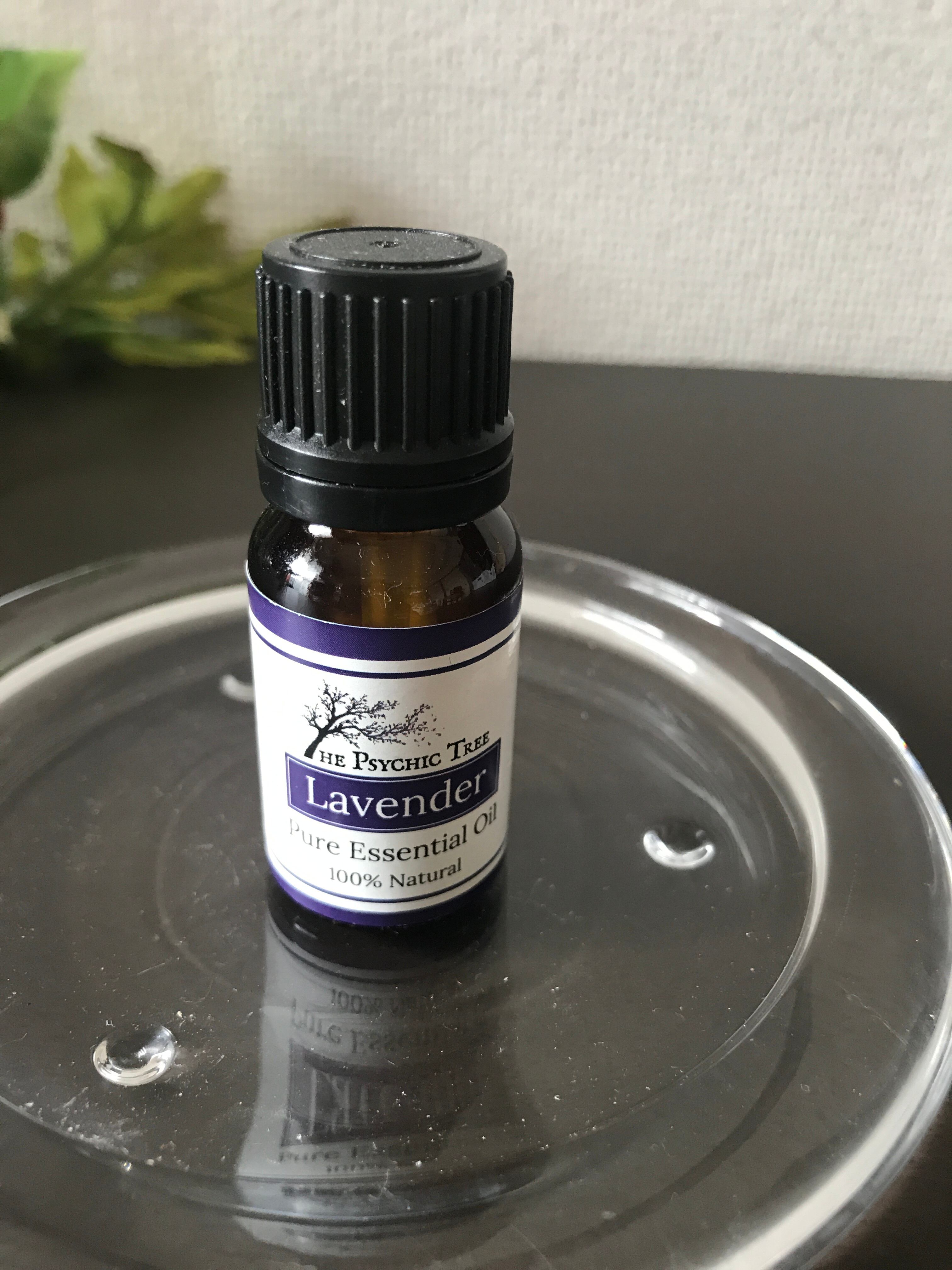 イギリスより Lavender Essential Oils 10ml　ラベンダー