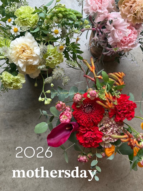 宅配便で伊勢市外へのお届け▫️▫️mothers day▫️▫️レザー器の母の日アレンジLサイズ