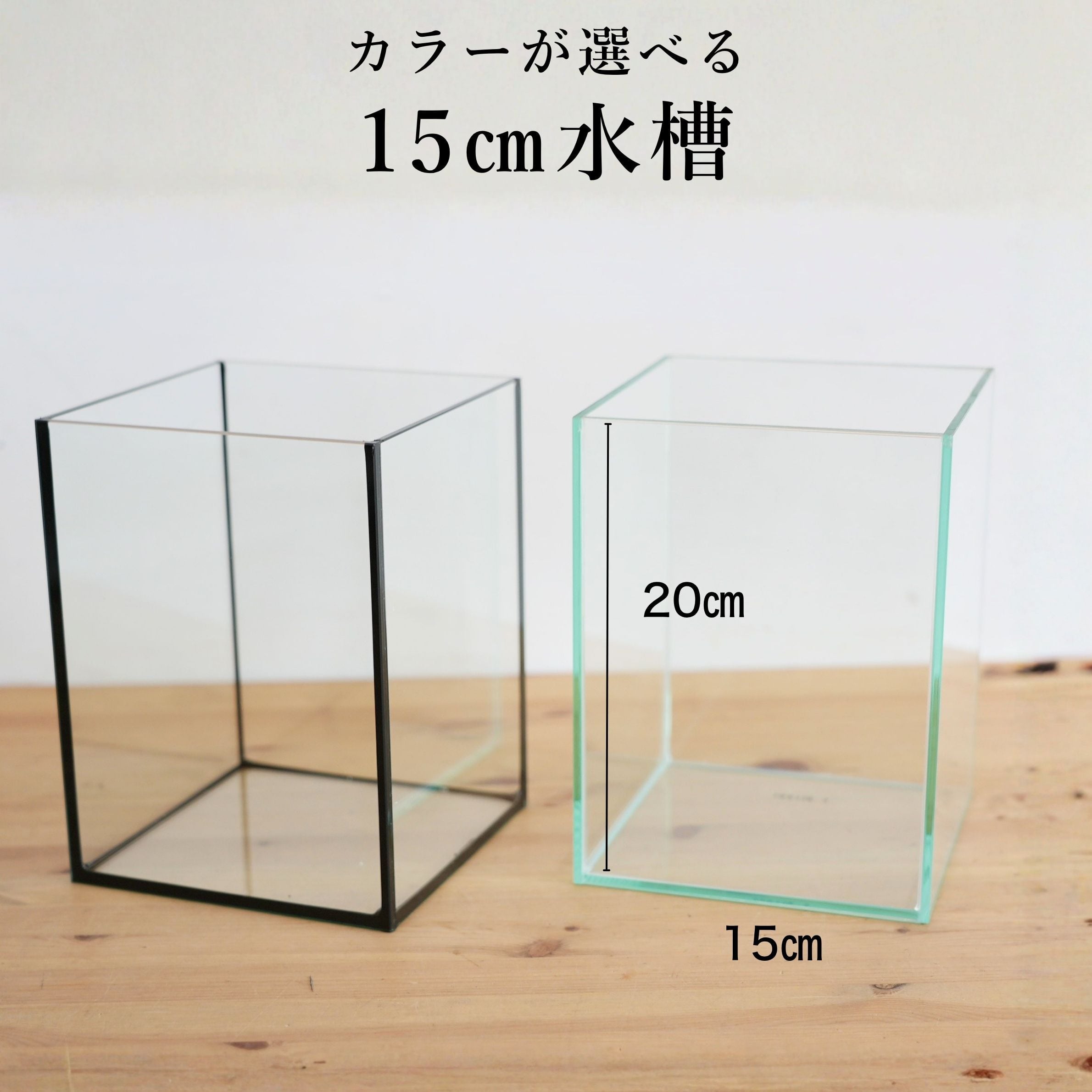 ガラス容器・選べる2種類】 苔テラリウム用 15cmガラス水槽 （15