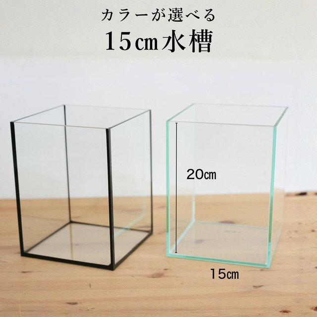 【ガラス容器・選べる２種類】 苔テラリウム用 15cmガラス水槽 （15㎝ × 15㎝ × 高さ20㎝）