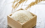 「天栄米」新米令和7年　3ｋｇ白米