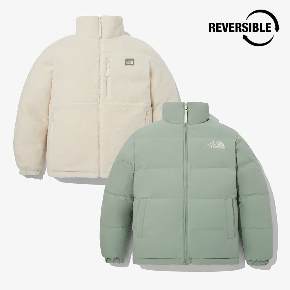 日本未入荷 韓国限定 THE NORTH FACE- BE BETTER DOWN JACKET - TEA