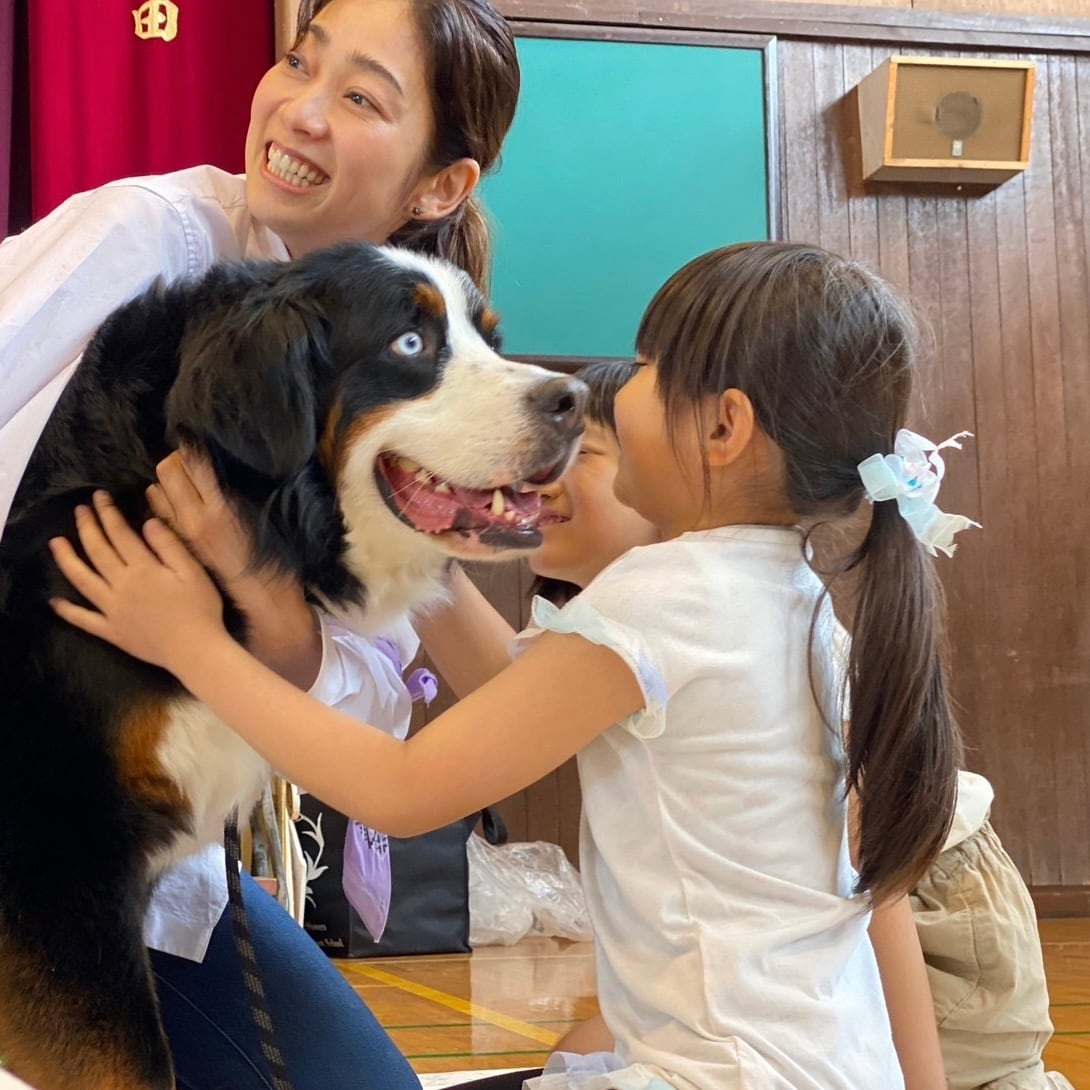 リカバリーDOGウエア LAUW × VENEX M size | LAUW（ラウー）