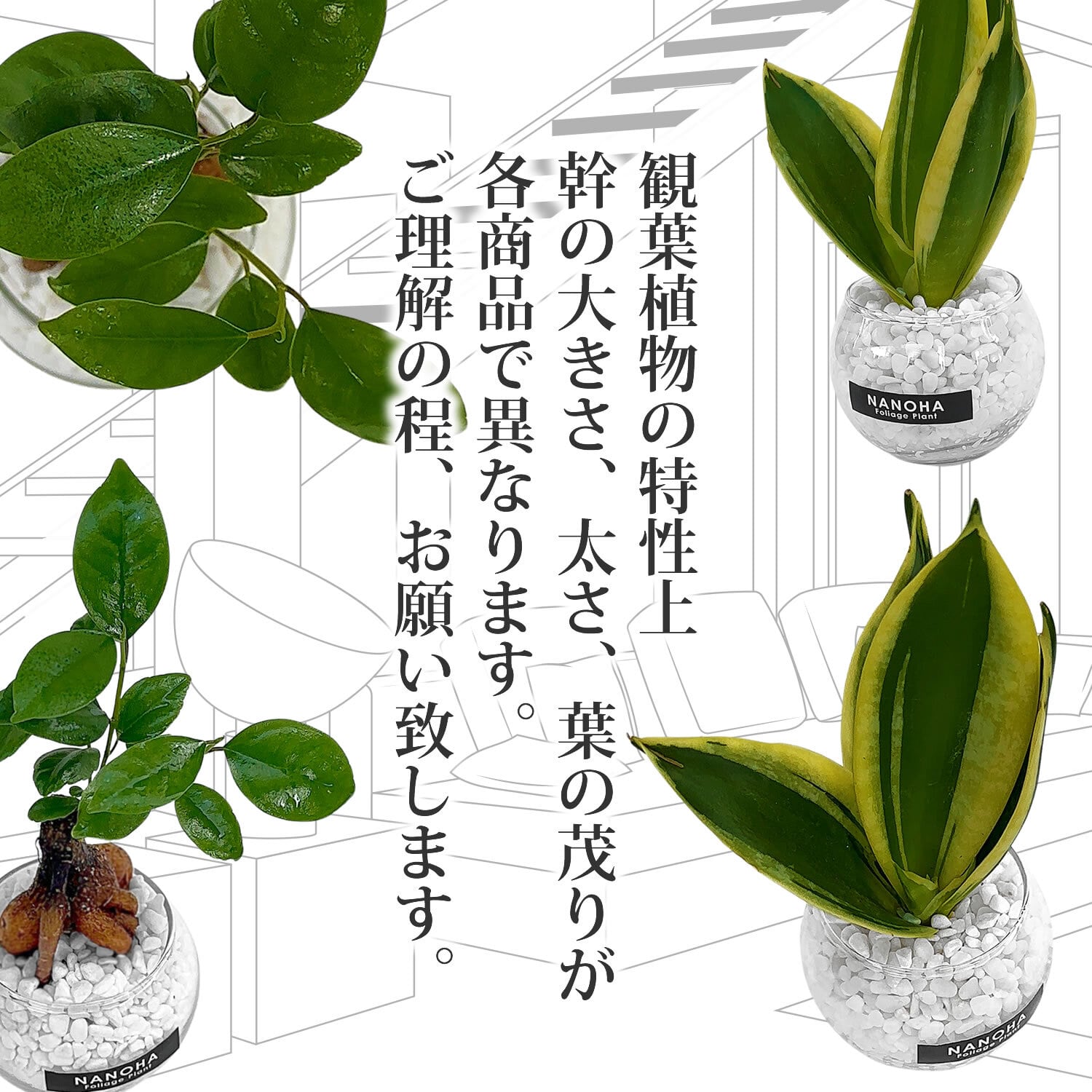 専用出品　2点まとめ売りラグマット観葉植物インテリア 楽天市場】ラグ【100cmX160cmサイズ】キリム 風 プリントラグ