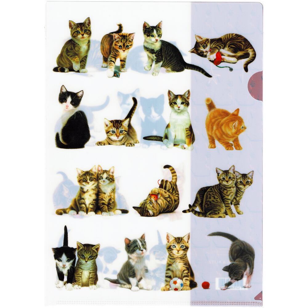 猫クリアファイル(フランシャンの子猫A4) マスノヤ衣料品店・マスノヤ猫雑貨店
