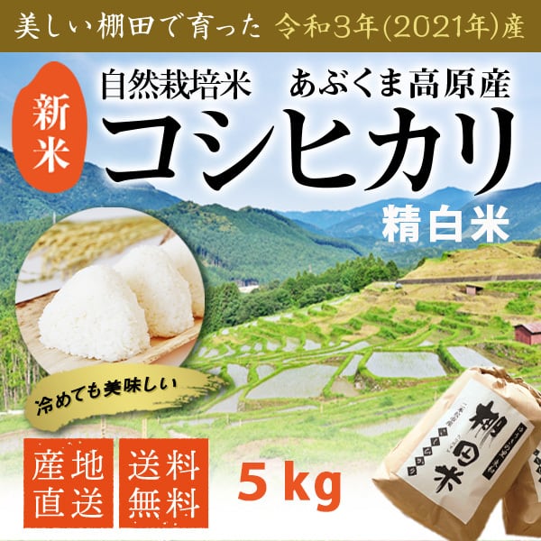 令和５年 新米 コシヒカリ 自然栽培米 白米 ５kg 阿武隈高原 遊雲の里