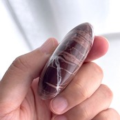 チョコレートジャスパー*パーム*250808-01*天然石*置き物*インテリアストーン