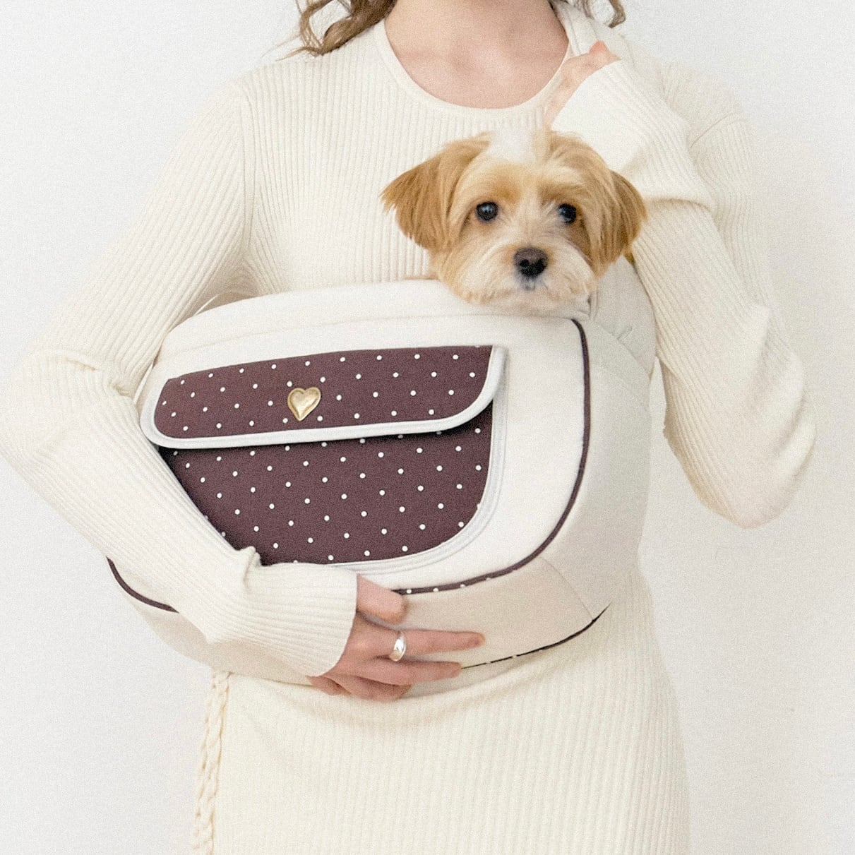 M即納【seoru】Dot Valentine Bag ( brown ) | ropet