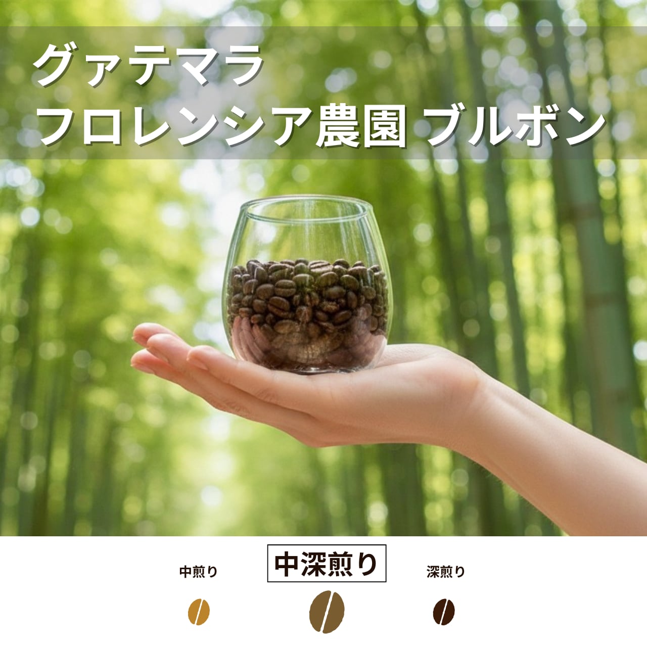 【スペシャルティコーヒー豆】グァテマラ フロレンシア農園 ブルボン