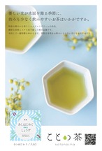 〈穀雨〉 ことの茶　つゆひかり、さえみどり極、八女誉