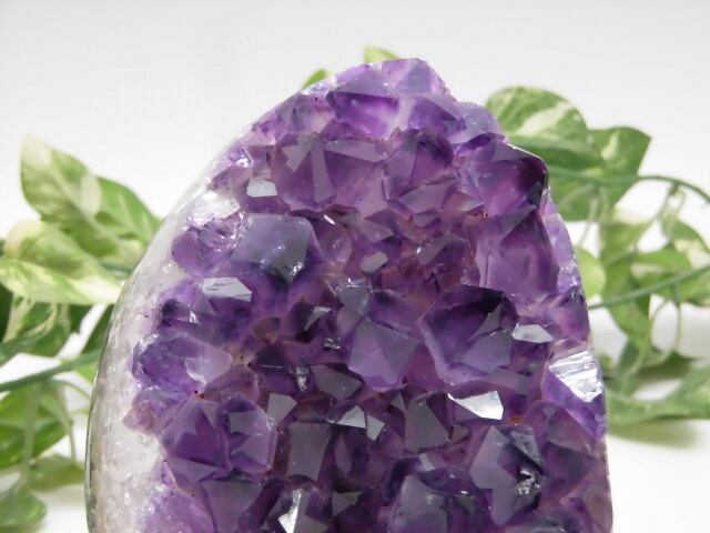 【送料無料】【高品質】 ウルグアイ産アメジスト no.7