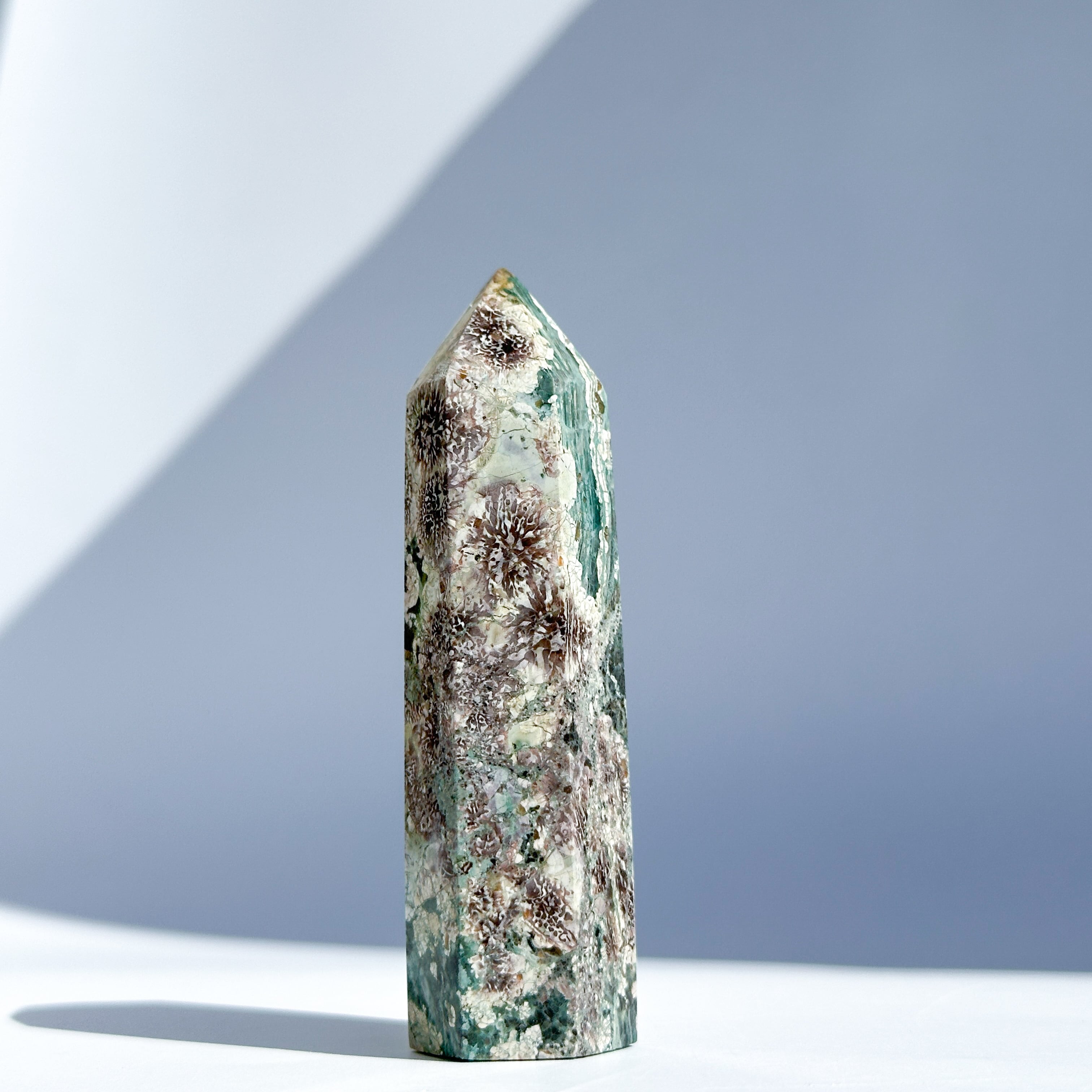 0eddbc89643c35132e2ec6f509fb86