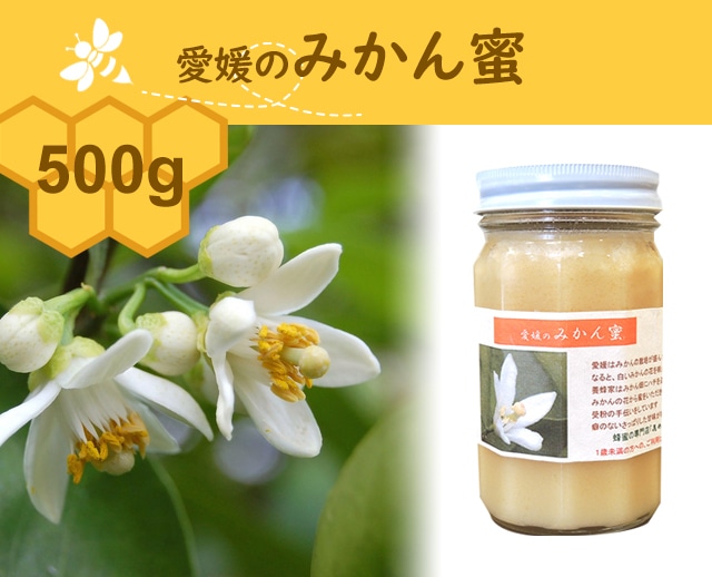 500g 愛媛のみかん蜜