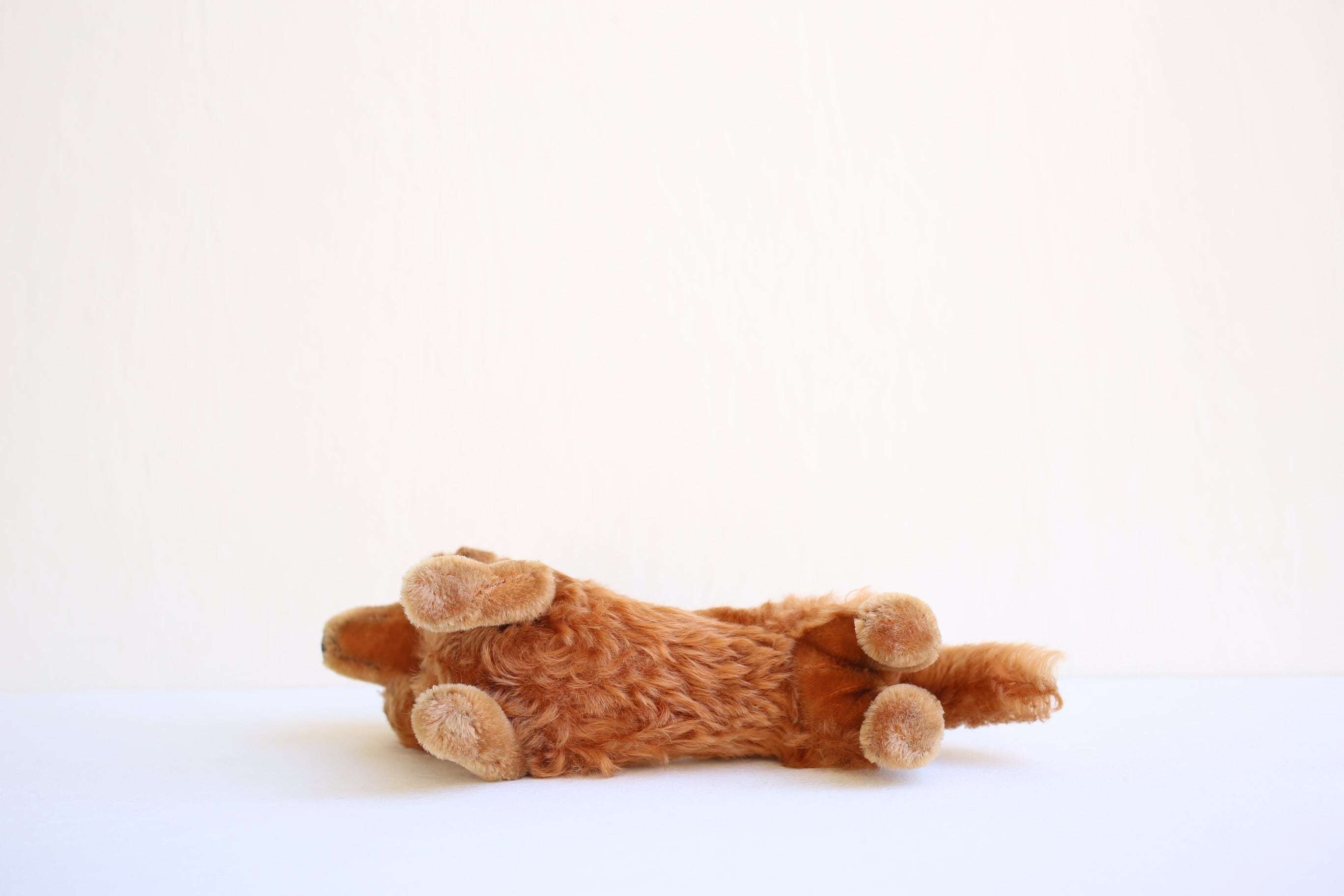 ドイツ ヴィンテージ Steiff シュタイフ ダックスフント『WALDI』 N
