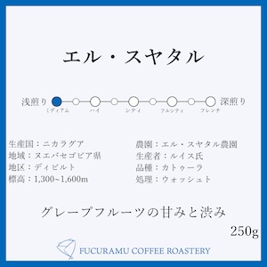 ニカラグア　エル・スヤタル /グレープフルーツのような心地よさ【ミディアム】250g