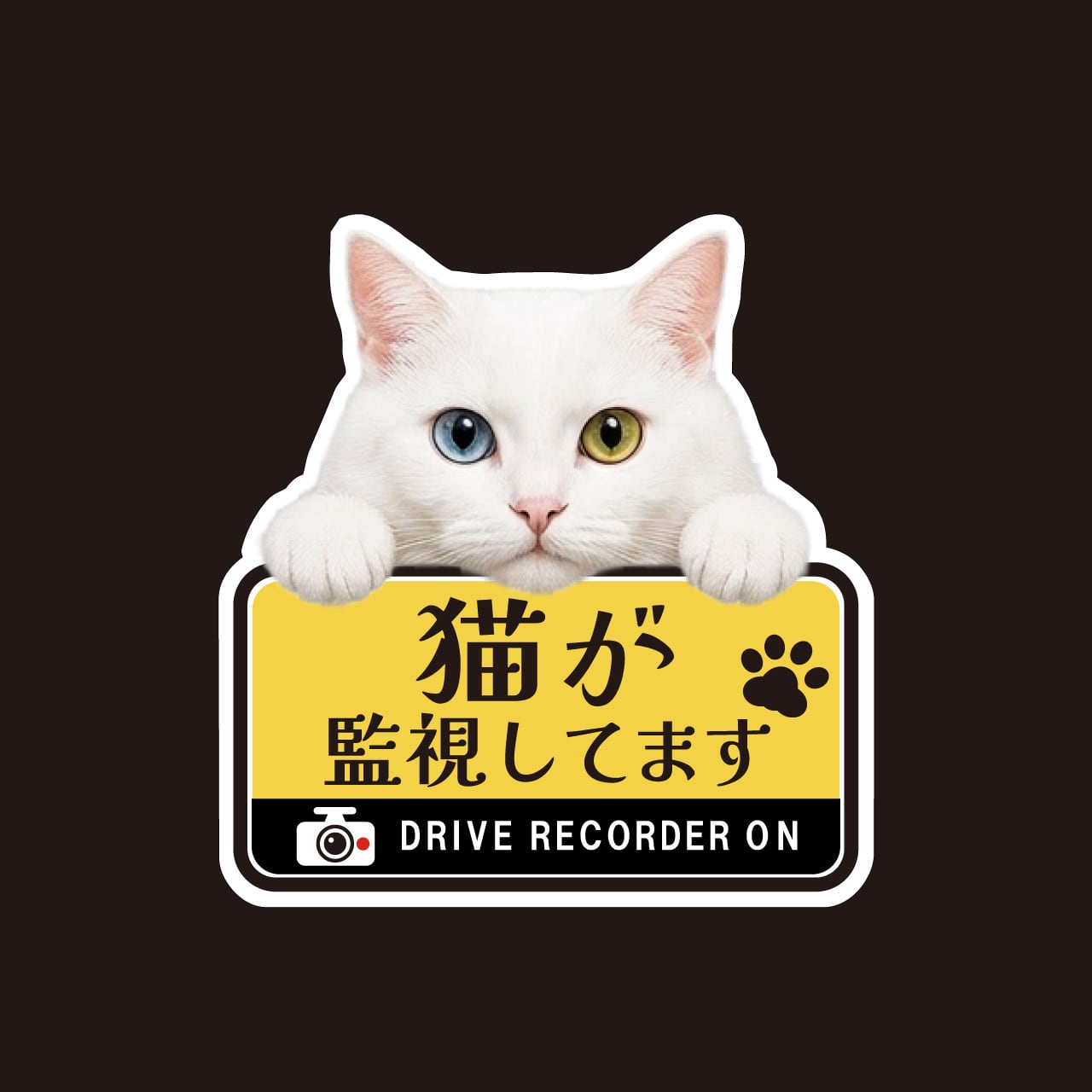 白猫・ホワイト・白・猫・CAT・cat・ドライブレコーダー・ドラレコステッカー・撮影中・車・ステッカー・インクジェット印刷・屋外用・猫好き・ドライブグッズ・監視しています・おもしろい・かわいい・肉球・日本製・3Mシート
