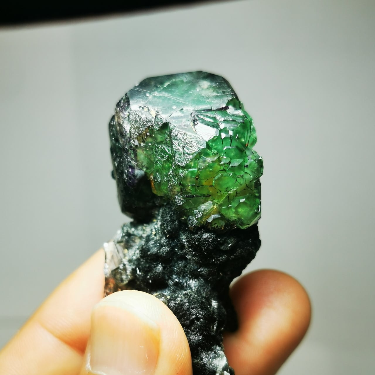 Green fluorite with schorl (black tourmaline) -グリーンフロー
