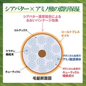 SALON STYLE(サロンスタイル) ビオリス ヴィーガニー ボタニカル ヘアトリートメント (スムース) さらさらなめらか ローズ&カシスの香り 200グラム (x 1)