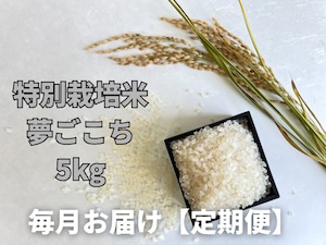 【毎月定期便お米5kg】令和5年産特別栽培米:夢ごこち