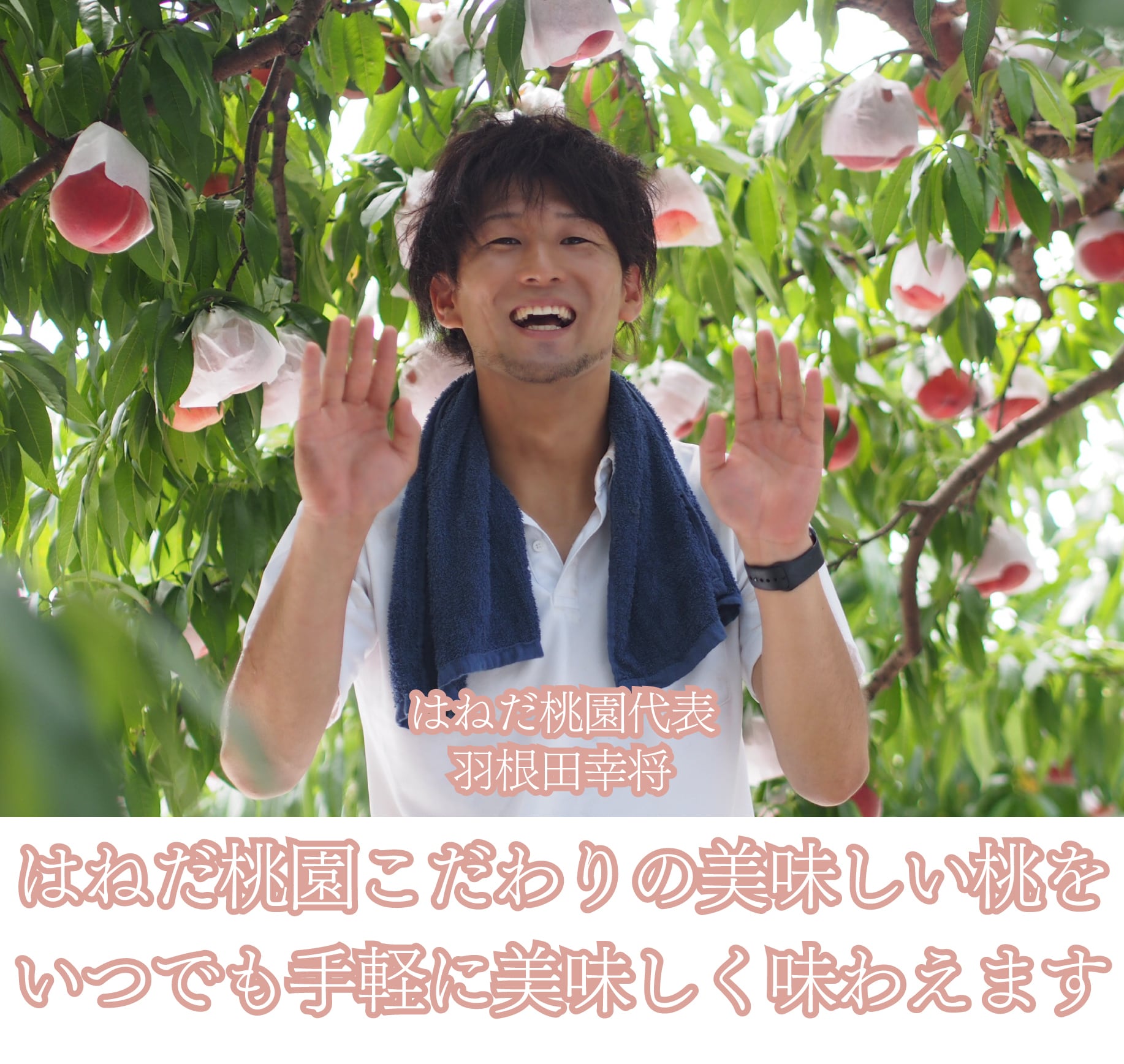 単品】福島の桃 もも茶 | 会津ブランド館 EC shop