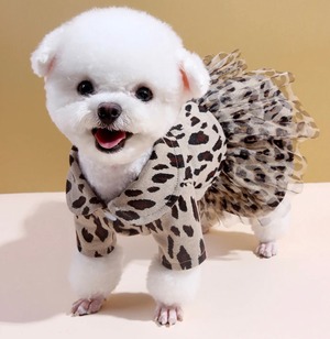 秋ワンピース