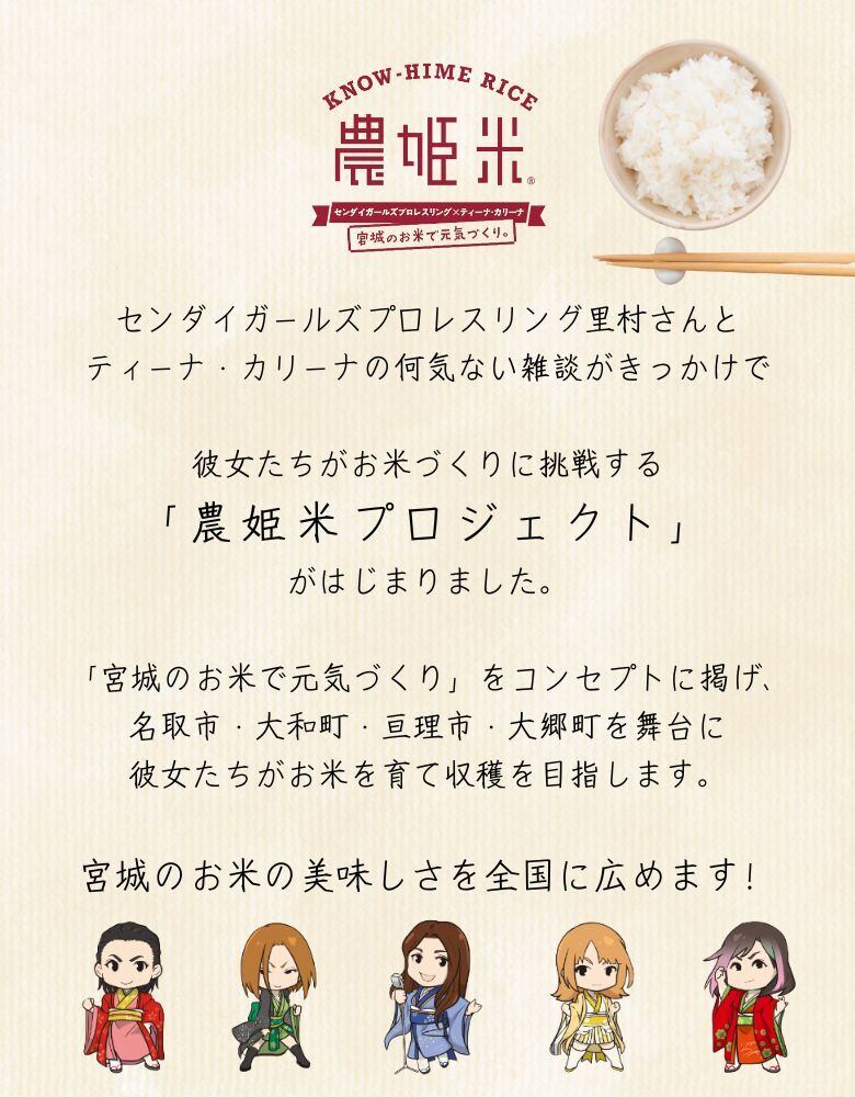 新米 令和7年産 ササニシキ玄米20kg（精米20kg） 【送料無料