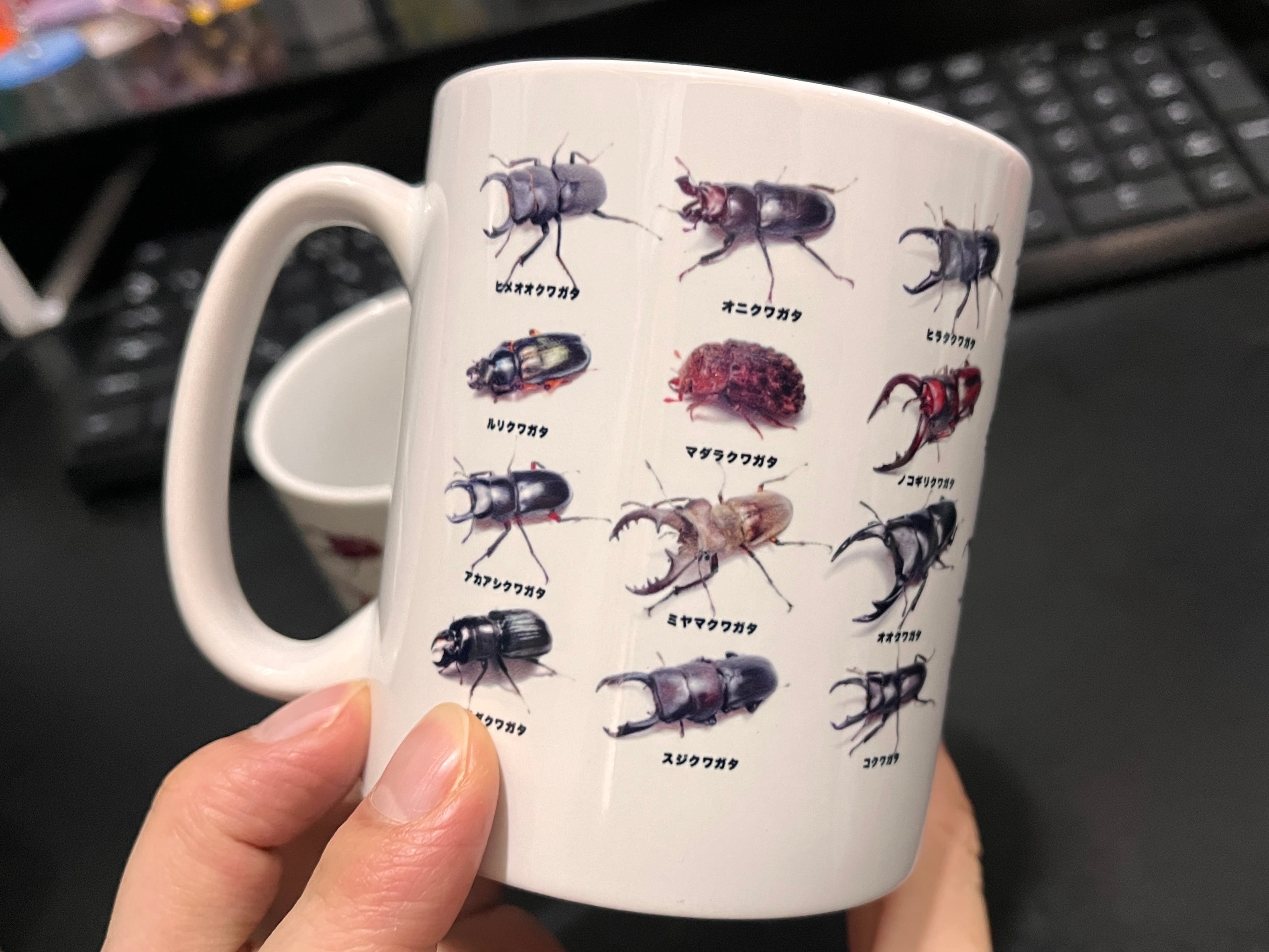 日本産クワガタ マグカップ | watakuwa shop