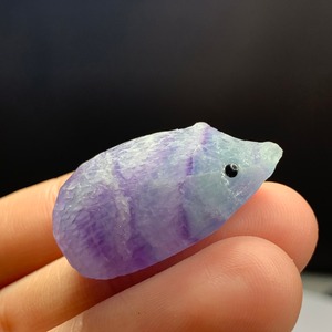 20可愛い顔したフローライトハリネズミさん