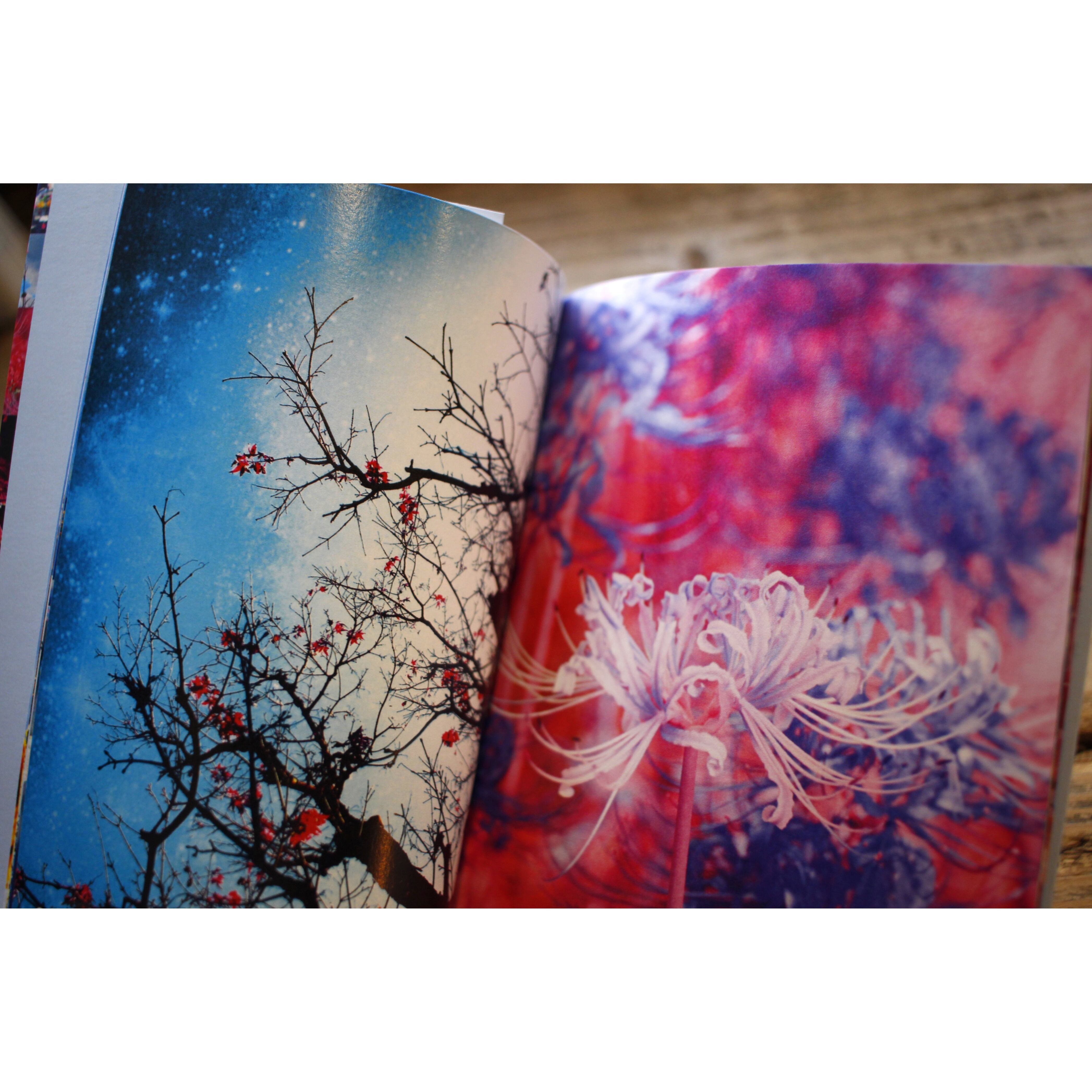 フォトブック⑤「tsunena（つねな）」(24ページ） | 訓子kunko