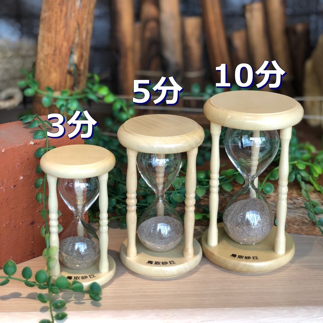 砂時計鳥取砂丘60分計