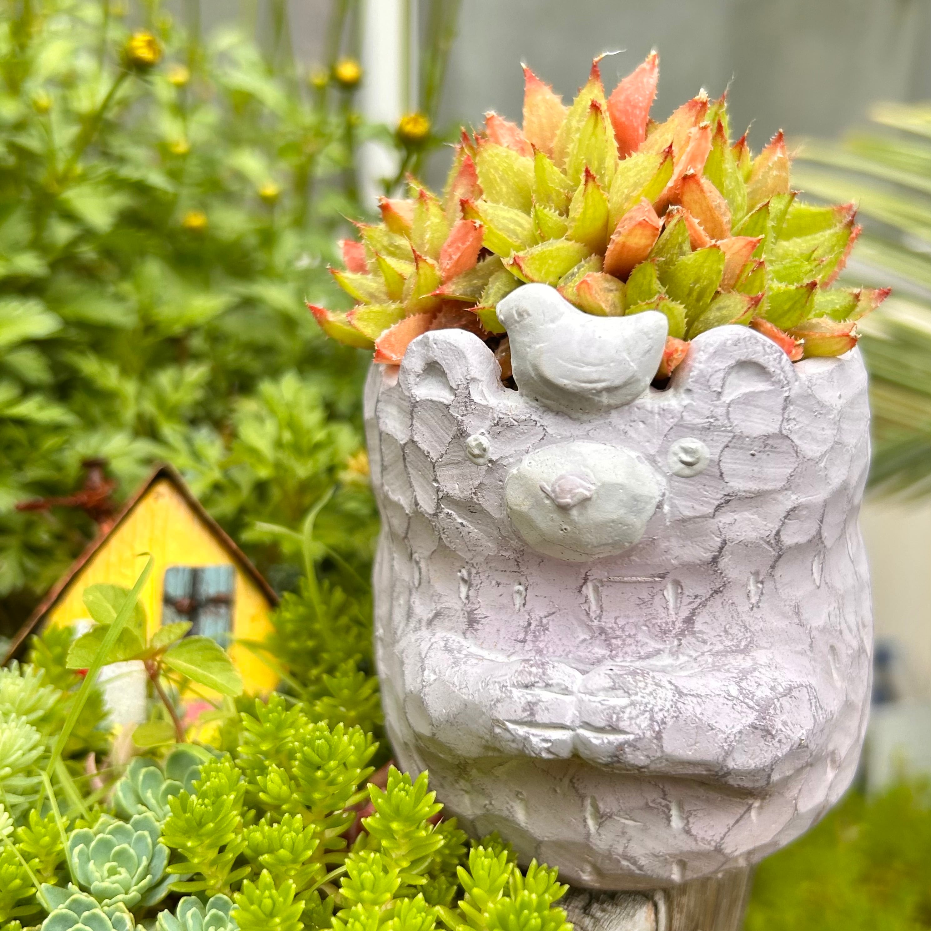 植木鉢 | RuPo 多肉植物専門店