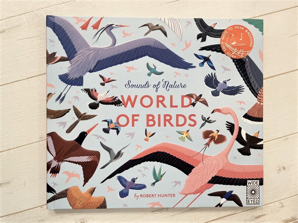 【DP177】Sounds of Nature: World of Birds / picture book