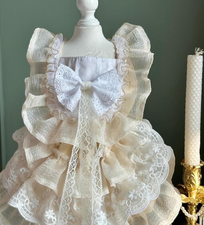 おすすめ☞《予約》№3102110 ランウェイドレス