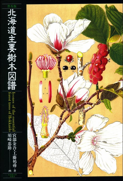 普及版 北海道主要樹木図譜 | 北海道大学出版会 普及版 北海道主要樹木図譜 | 北海道大学出版会
