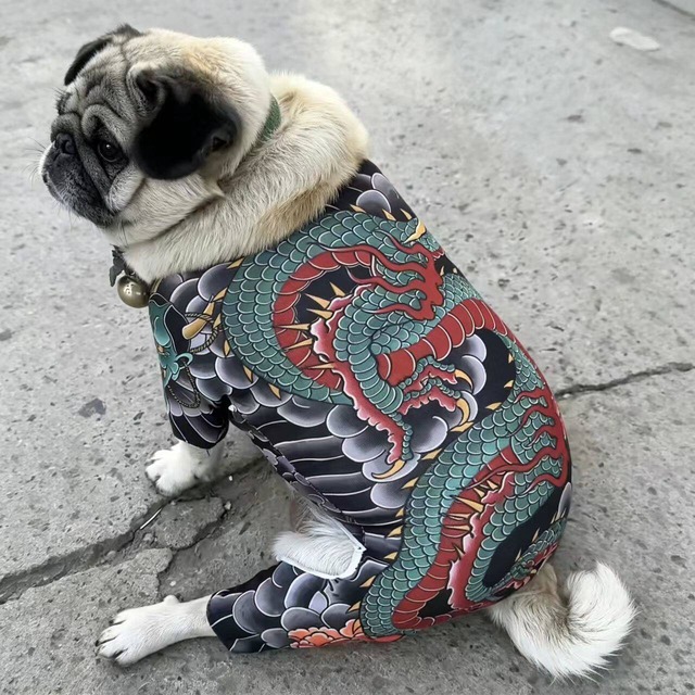 Dog wear  -traditional art-　　r-dogw-293