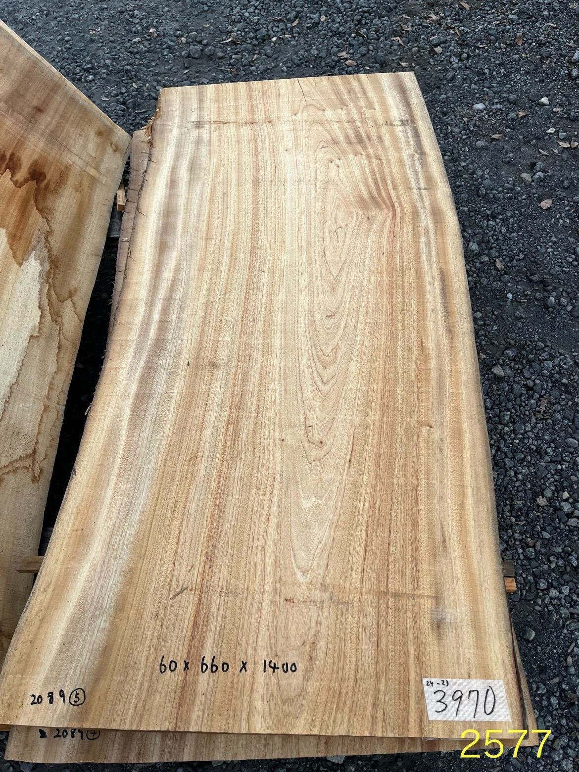 楠(クス)_1400×660×60_原板 G2577