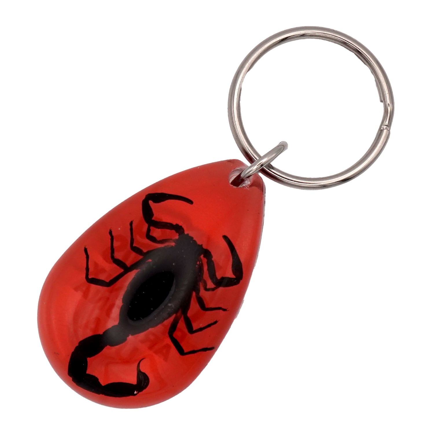 USA ARIZONA SCORPION DROP KEYCHAIN 蠍 サソリ スコーピオン お守り
