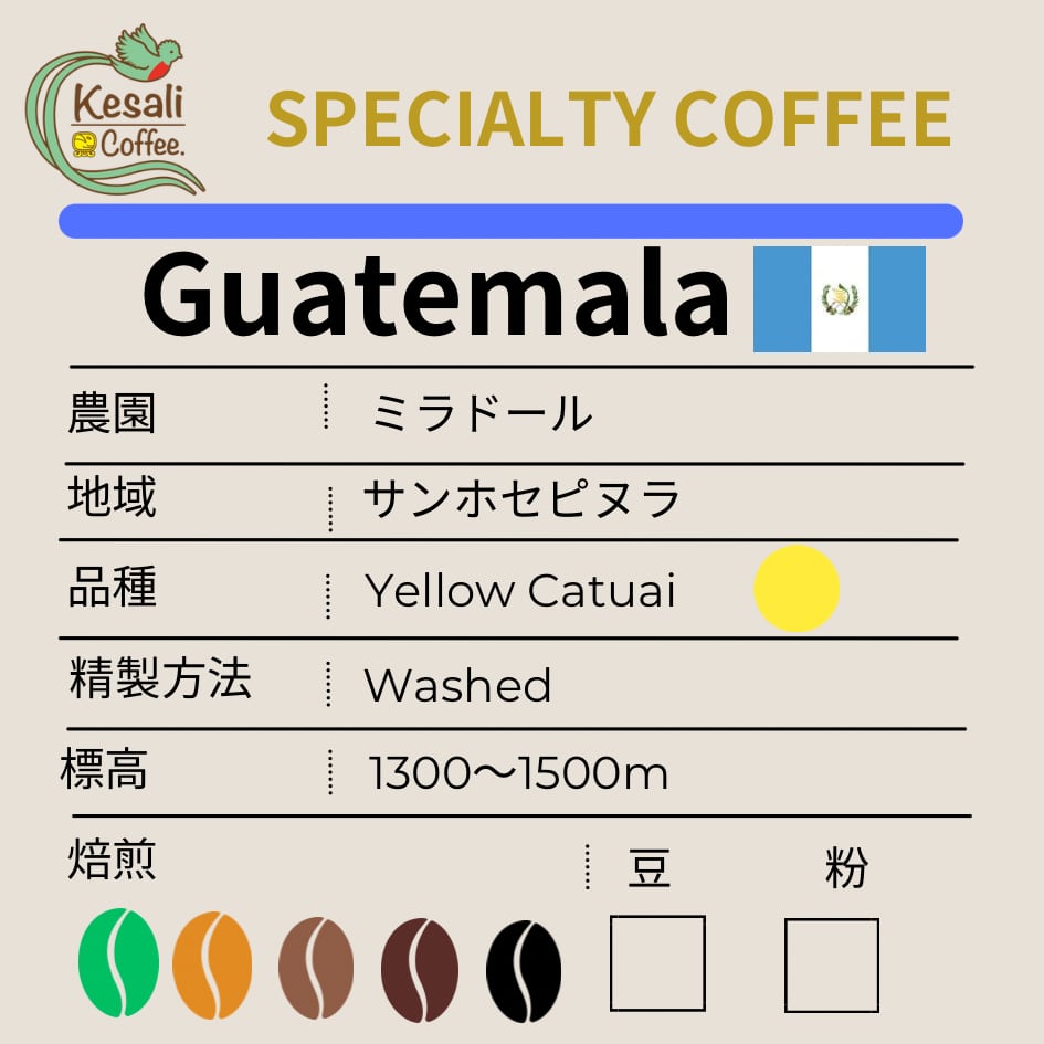 1000g中煎りグアテマラYellow Catuai20%off