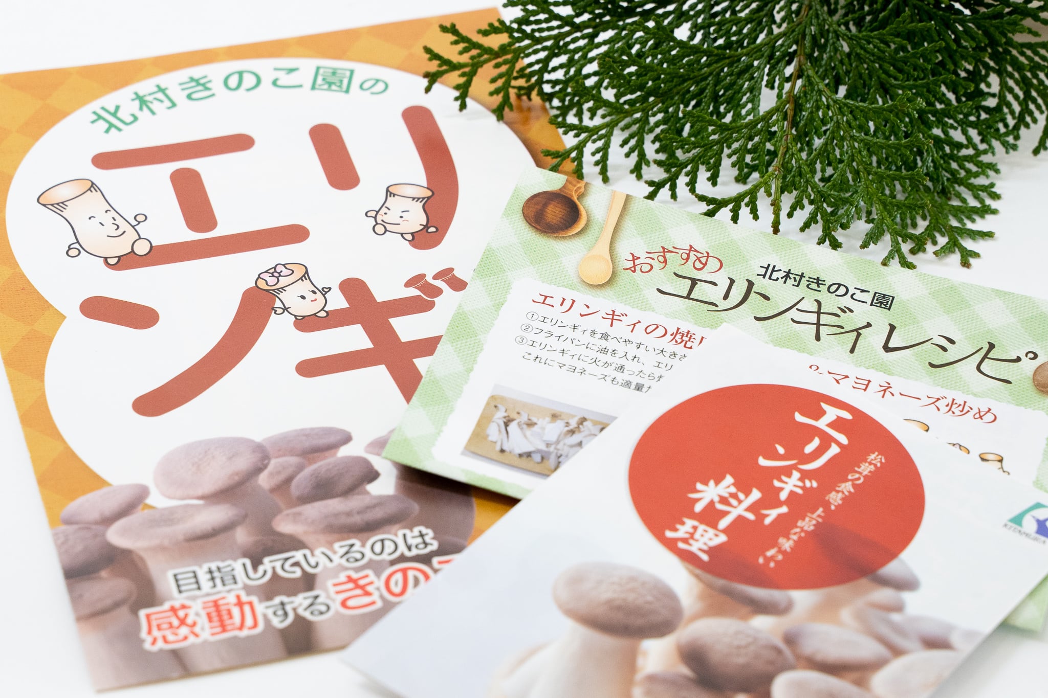 八頭びっくりエリンギィファミリーセット | KITAMURA KINOKO-EN