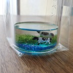 ※出店先のみで販売