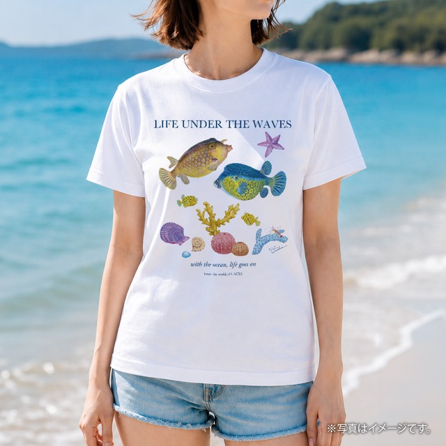 海の生きもの半袖Tシャツ（ハコフグ）｜LIFE UNDER THE WAVES Model-08