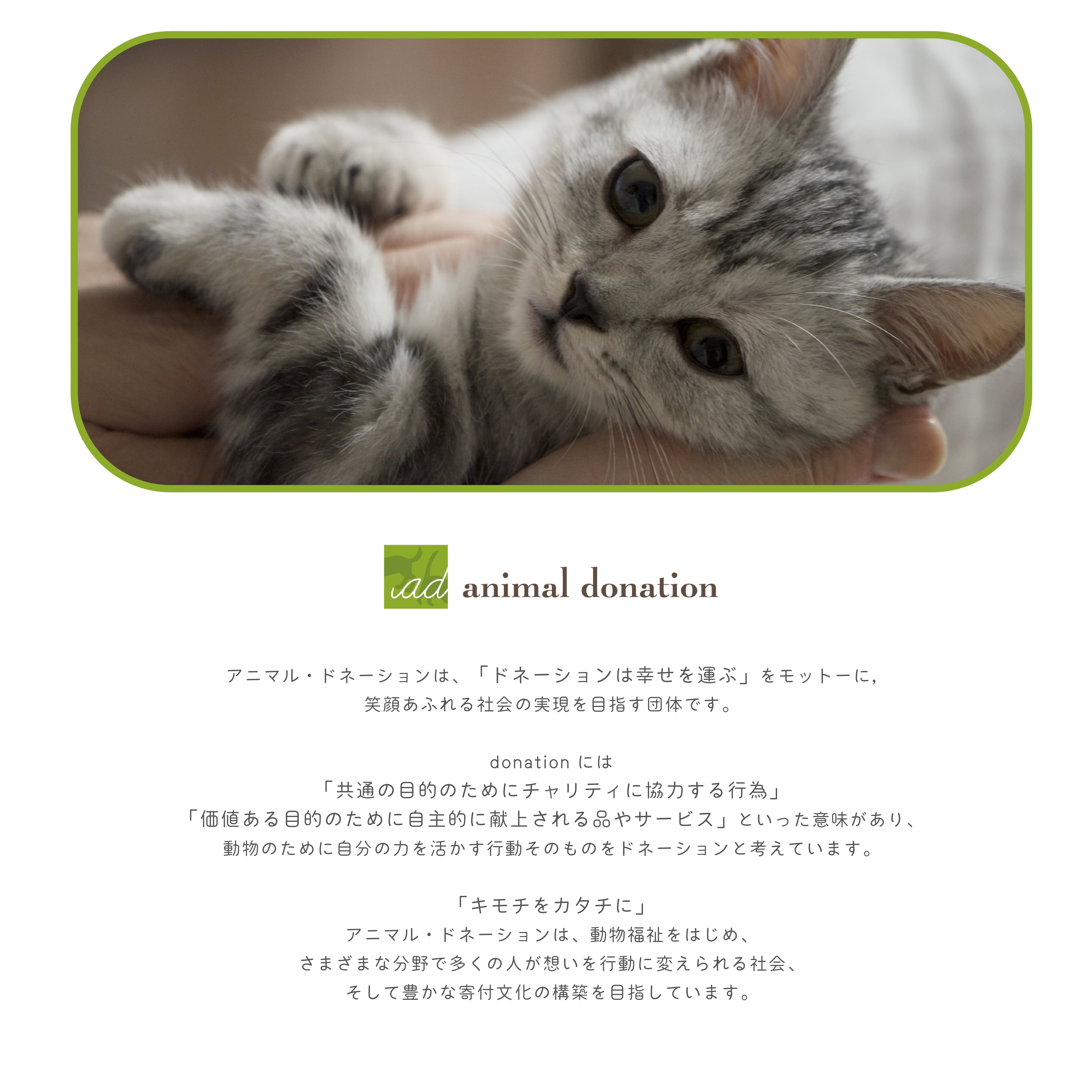MEOW! MEOW!】寿司湯呑（猫集合）【NEK30】NEK31-327 | yamaka