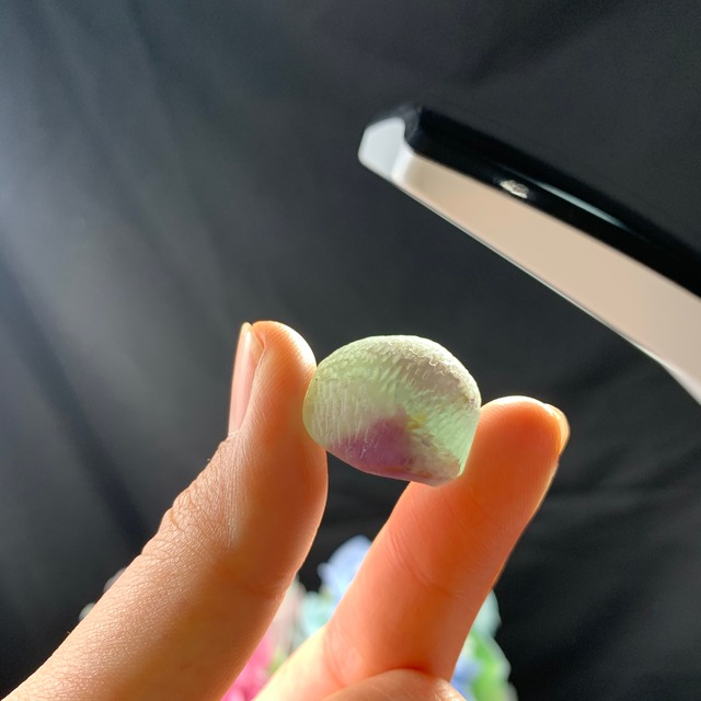 10ハリネズミフローライト