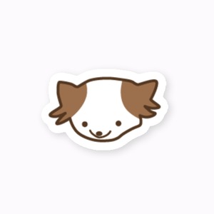 cocoaステッカー